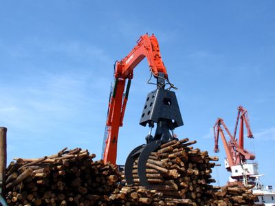 Һ��ľ��ץ��